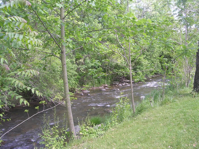 Apple Blossom, Sperryville, Rappahannock County, VA, Thornton River